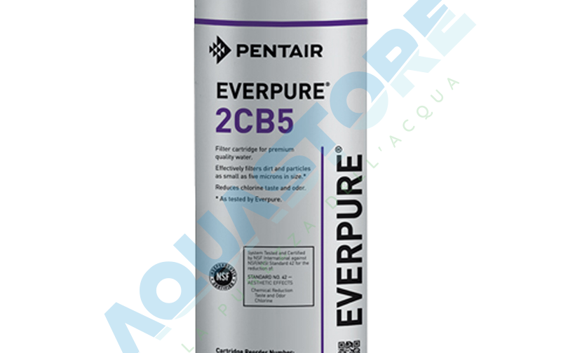 Everpure 2CB5