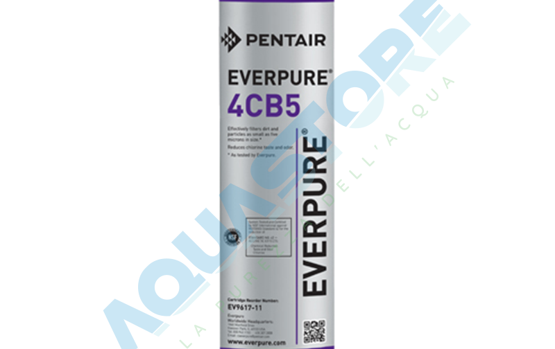Everpure 4CB5