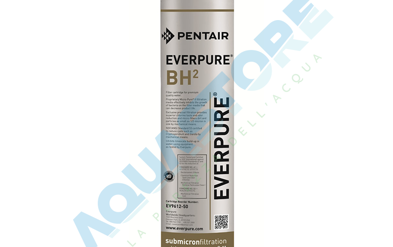 Everpure BH(2)
