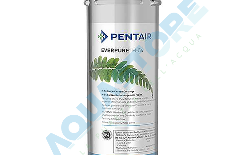 Everpure H-54