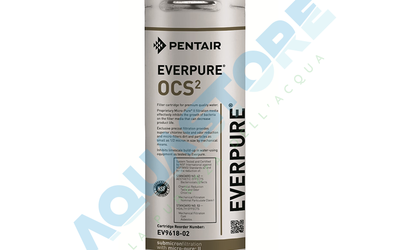 Everpure OCS(2)